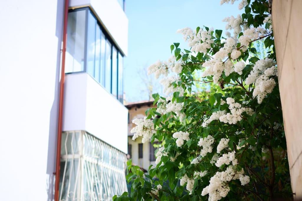 Central Old Town Oasis - Ap 6 Bukares Bagian luar foto